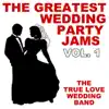 The Greatest Wedding Party Jams Vol. 1 album lyrics, reviews, download