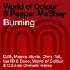 Burning album lyrics, reviews, download