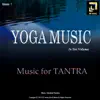 Yoga Music In Ten Volumes Music for Tantra, Vol. 7 album lyrics, reviews, download