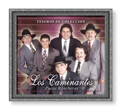 Tesoros de Coleccion: Los Caminantes by Los Caminantes album reviews, ratings, credits