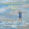 Sounds for Meditating & Relaxing Volume 2 album lyrics, reviews, download