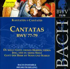 Gott Der Herr Ist Sonn Und Schild, BWV 79: Aria: Gott Ist Unser Sonn Und Schild! (Alto) Song Lyrics