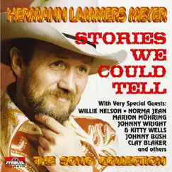 Stories We Could Tell (Radio Version) by Hermann Lammers Meyer album reviews, ratings, credits