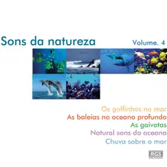 Sons Da Natureza Volume 4 by Natural Sound album reviews, ratings, credits