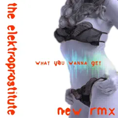 What You Wanna Get (New Remix) by The Elektroprostitute album reviews, ratings, credits