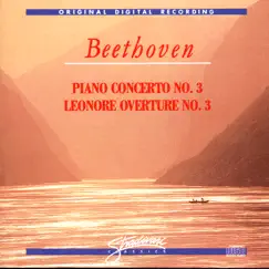 Piano Concerto No 3 In C Minor Op 37 - Largo Song Lyrics