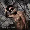 What You Want (Final Mix) [feat. Omarion] - Single album lyrics, reviews, download