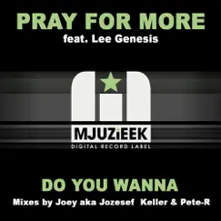 Do You Wanna (Joey aka Jozsef Keller & Pete-R Dub) Song Lyrics