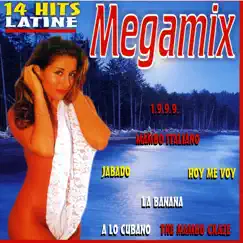 Megamix by Various Artists album reviews, ratings, credits