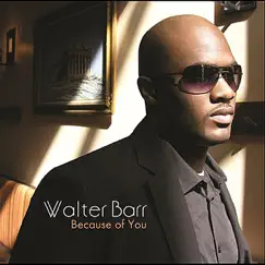 Because of You by Walter Barr album reviews, ratings, credits