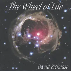 The Wheel of Life by David Bicknase album reviews, ratings, credits