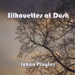 Silhouettes At Dusk by Johan Pluyter album reviews, ratings, credits