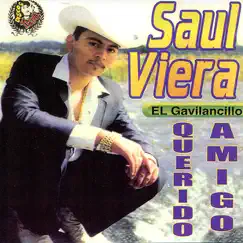 Guadalupe Rayos Song Lyrics