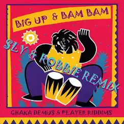 Bam Bam (Sly & Robbie Remix) Song Lyrics