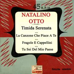 Timida Serenata (Calypso) Song Lyrics