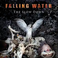 The Slow Down - EP by Falling Water album reviews, ratings, credits