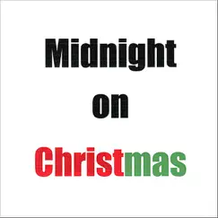 Midnight On Christmas - Single by Richard Danley album reviews, ratings, credits