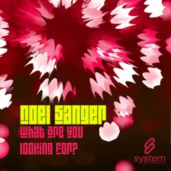 What Are You Looking For? (Noel Sanger Dub) Song Lyrics
