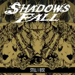 Still I Rise - Single by Shadows Fall album reviews, ratings, credits
