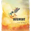 Augment - EP album lyrics, reviews, download