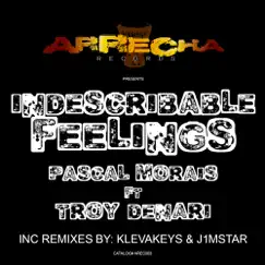 Indescribable Feelings (feat. Troy Denari) Song Lyrics