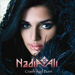 Crash and Burn (Dilamani & Rassek Remix) Song Lyrics