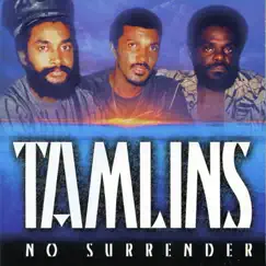 No Surrender by Tamlins album reviews, ratings, credits