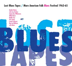 Lost Blues Tapes / More American Folk Blues Festival 1963-65 by Various Artists album reviews, ratings, credits