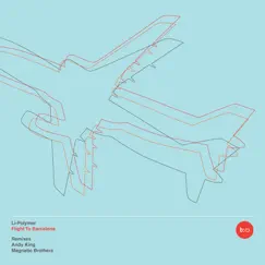 Flight To Barcelona (Magnetic Brothers Remix) Song Lyrics