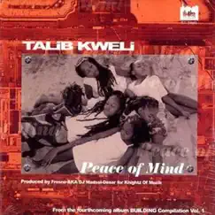 Peace of Mind - Single by Talib Kweli album reviews, ratings, credits