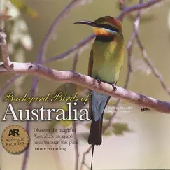 Brolgas, Magpie-Lark, Masked Lapwing, Grey Butcherbird, Australian Magpie, Grey-Crowned Babbler and Peaceful Dove Song Lyrics