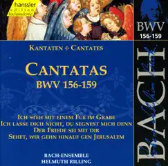 Ich Lasse Dich Nicht, Du Segnest Mich Denn, BWV 157: Aria, Recitative and Arioso: Ja, Ja, Ich Halte Jesum Feste (Bass) Song Lyrics