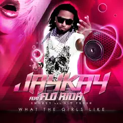 What The Girls Like (Hard Dance Alliance Mix) (feat. Flo-Rida) - Single by Jay Kay album reviews, ratings, credits