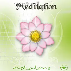 Meditation part 8 - The profound level Song Lyrics