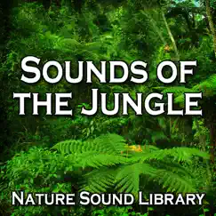 Sounds of the Jungle (Nature Sounds for Deep Sleep, Relaxation, Meditation, Spa, Sound Therapy, Studying, Healing Massage, Yoga and Chakra Balancing) - Single by Nature Sound Library album reviews, ratings, credits