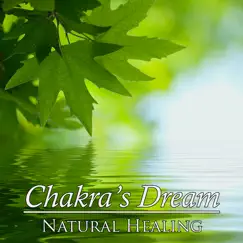 Natural Healing by Chakra's Dream album reviews, ratings, credits
