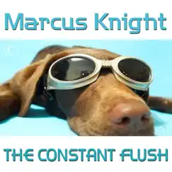 The Constant Flush - Single by Marcus Knight album reviews, ratings, credits