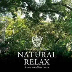 Natural Relax Song Lyrics