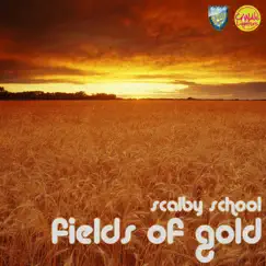 Fields of Gold Song Lyrics