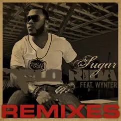 Sugar Remixes (feat. Wynter) by Flo Rida album reviews, ratings, credits