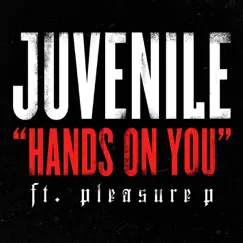 Hands On You (feat. Pleasure P) Song Lyrics