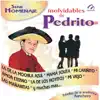 Serie Homenaje (feat. Mariachi Arriba Juárez) album lyrics, reviews, download