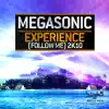 Experience (Follow Me) 2k10 [Remixes] album lyrics, reviews, download
