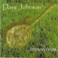 Johnson Grass by David Johnson album reviews, ratings, credits