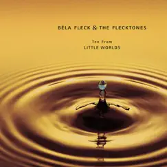 Ten from Little Worlds by Béla Fleck & The Flecktones album reviews, ratings, credits