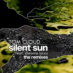 Silent Sun (DJ Observer & Daniel Heathcliff Vocal Mix) [feat. Antonia Lucas] Song Lyrics