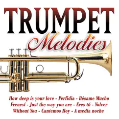 Bésame Mucho-Instrumental Trumpet Song Lyrics