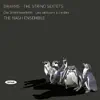 Brahms: The String Sextets album lyrics, reviews, download