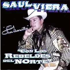 Soy Piedra Que Con El Tiempo by Saul Viera El Gavilancillo album reviews, ratings, credits