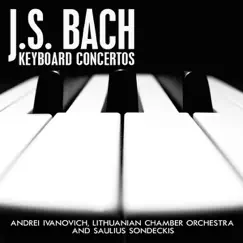 Concerto No. 1 in D Minor for Keyboard and Orchestra, BWV 1052: II. Adagio Song Lyrics